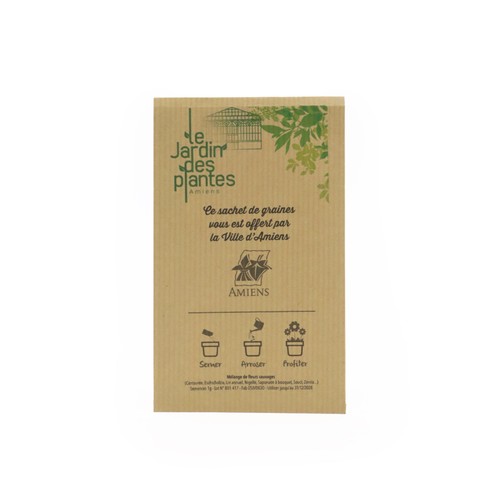 Grand sachet kraft graines