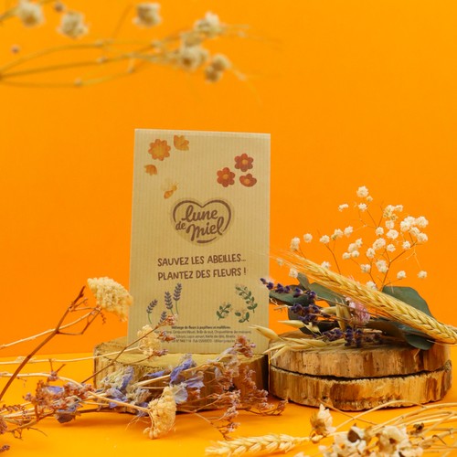 Grand sachet kraft graines