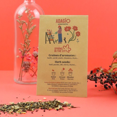 Grand sachet kraft graines