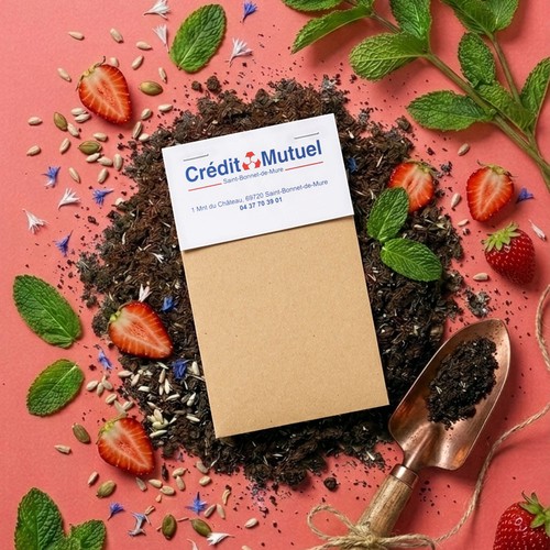 Grand sachet kraft graines
