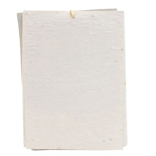 Calendrier papier graines 13 pages