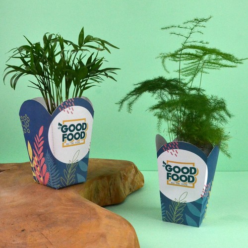 Plante pot popcorn - 1