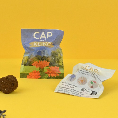 Palet à graines en papillote