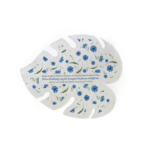 Papier graines A6 découpe spéciale - 2