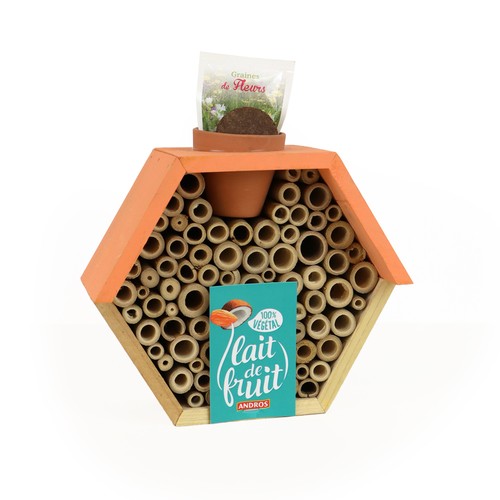 Hôtel à insectes avec pot et graines mellifères