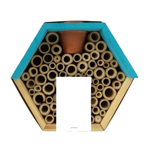 Hôtel à insectes avec pot et graines mellifères