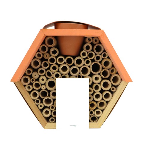 Hôtel à insectes avec pot et graines mellifères