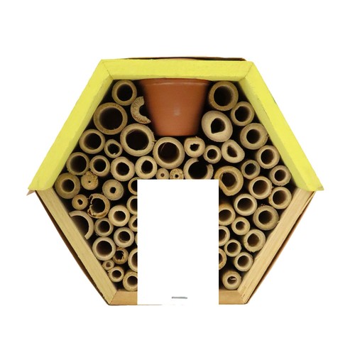 Hôtel à insectes avec pot et graines mellifères