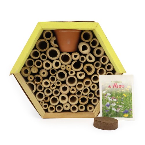 Hôtel à insectes avec pot et graines mellifères