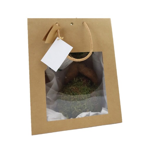 Kokedama