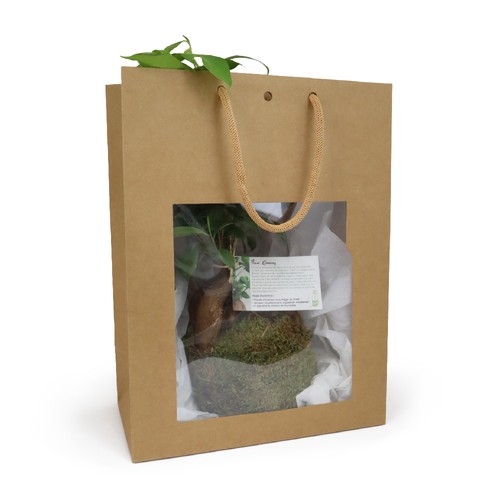 Kokedama