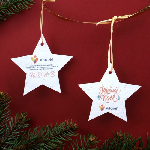 Déco de Noël 250g recto