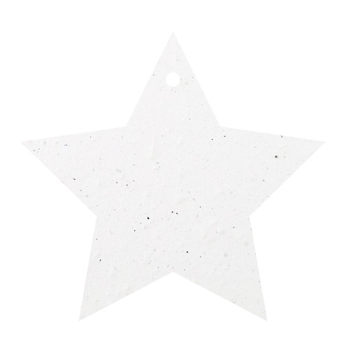 Déco de Noël 250g recto