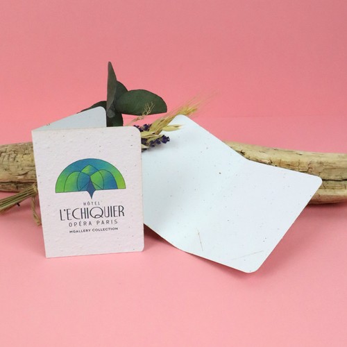 Porte carte papier graines 250g