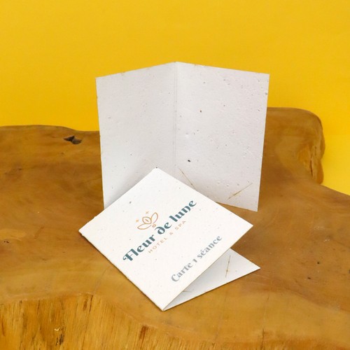 Porte carte papier graines 250g