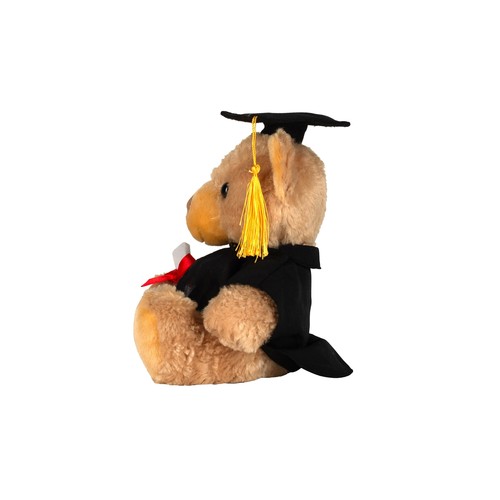 Ours en peluche diplomé thumbnail 4