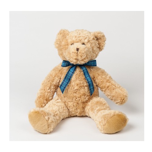 Peluche ourson