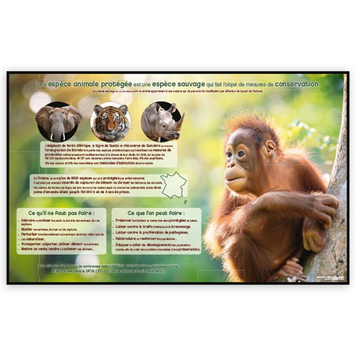 CALENDRIER BANCAIRE STANDARD_INC 65_2027 thumbnail 10
