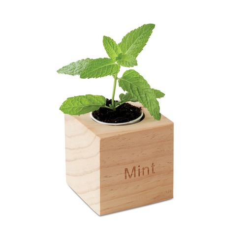 MENTA Pot en bois avec graine Menthe - 3