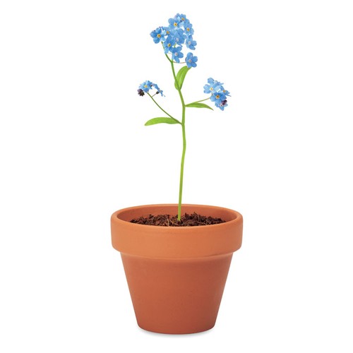 FORGET ME NOT Juego de macetas de terracota