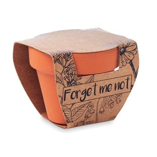 FORGET ME NOT Juego de macetas de terracota