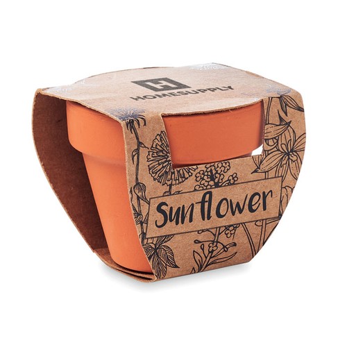 SUNFLOWER Juego de macetas de terracota