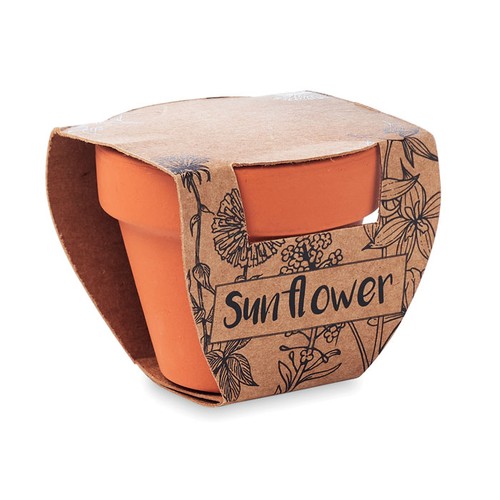 SUNFLOWER Juego de macetas de terracota