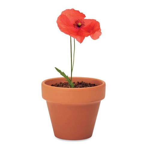 RED POPPY Juego de macetas de terracota