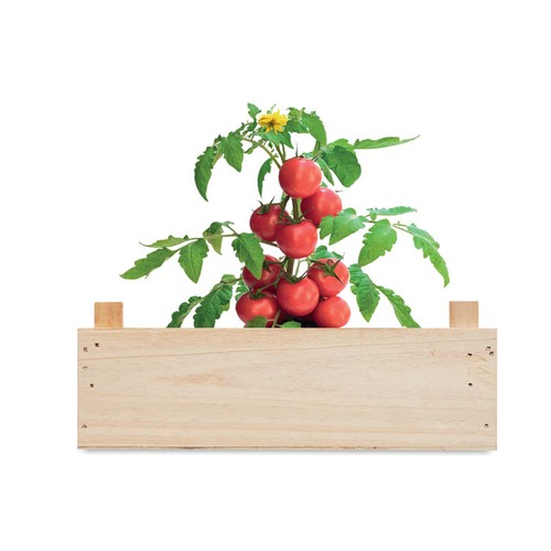 TOMATO Mini-huerto tomates en caja