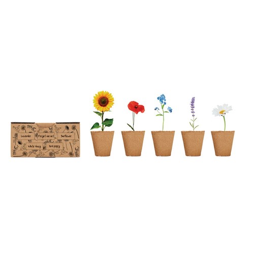 FLOWERS Kit de culture de fleurs - 4