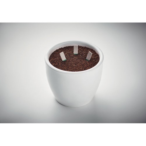 LEYTI Bâtons de graines d'herbes - 4