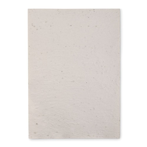 ASIDI Papier A4 graines de fleurs - 2