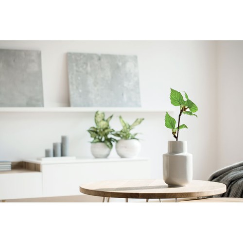 SAVAGE Libreta A5 Abedul GROWBOOK™