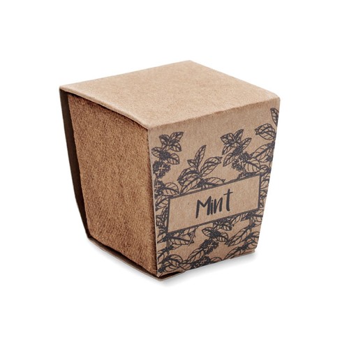 MINT KIT Kit cultivo semillas de menta