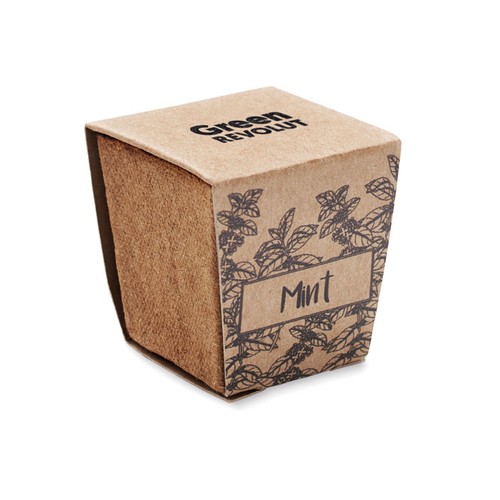 MINT KIT Kit cultivo semillas de menta