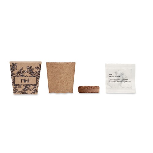 MINT KIT Kit de graines de menthe - 2