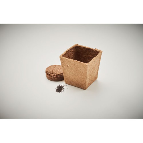 MINT KIT Kit de graines de menthe - 6