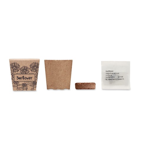 SUNFLOWER KIT Kit de tournesol - 2