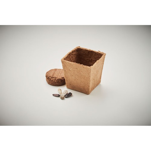 SUNFLOWER KIT Kit de tournesol - 6