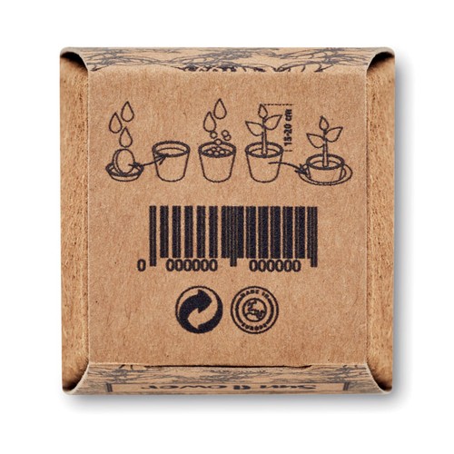 SUNFLOWER KIT Kit de tournesol - 7
