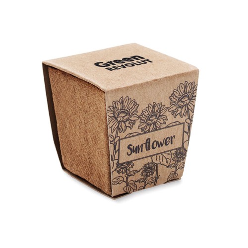 SUNFLOWER KIT Kit de tournesol - 5