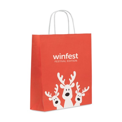 BAO MEDIUM Sac cadeau format moyen - 4