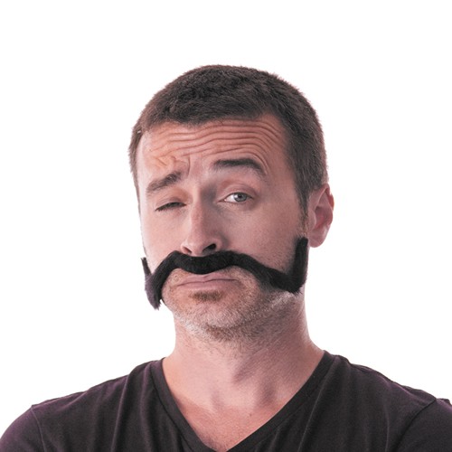 MOUSTACHE CHINOISE NOIRE thumbnail 4