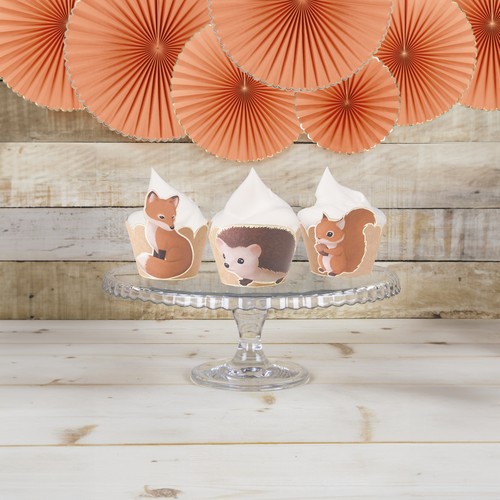 CUPCAKE WRAPPERS WOODLAND X 6 thumbnail 7
