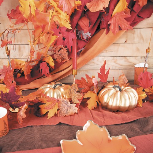 PETITE CITROUILLE DOREE thumbnail 5