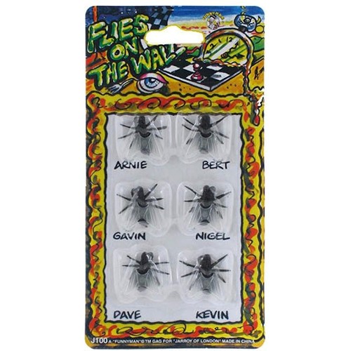 FAUSSES MOUCHES (CE)