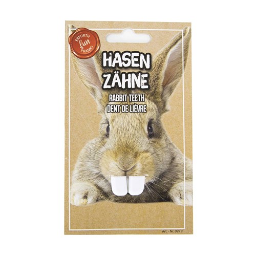 DENTS DE ZEZETTE OU DE LAPIN thumbnail 6