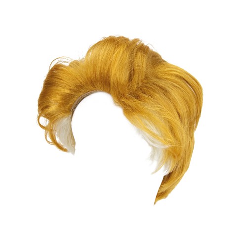 PERRUQUE DONALD TRUMP thumbnail 4