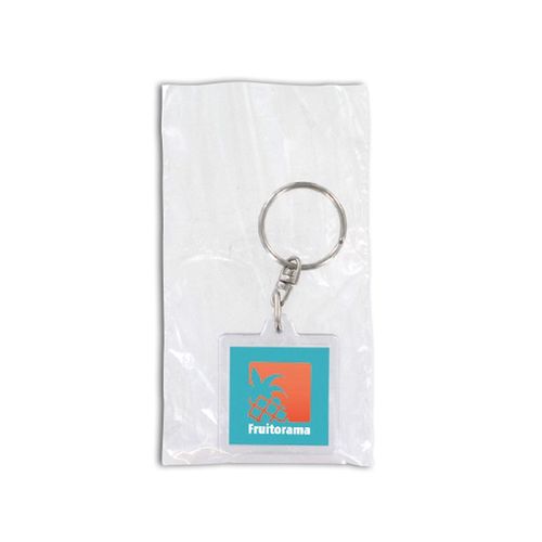 PORTE-CLES TRANSPARENT PORTE-ETIQUETTE - 2