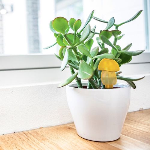 ARROSEUR AUTONOME ECOLOGIQUE - 4